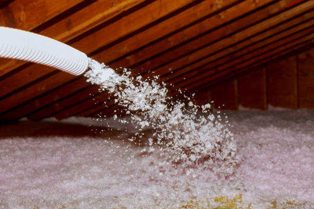 Best Insulation Materials and Products in Vla Park, IL