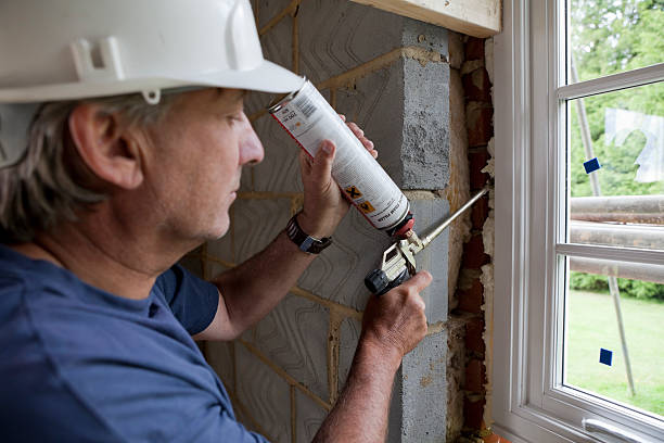 Best Insulation Maintenance and Repair in Vla Park, IL