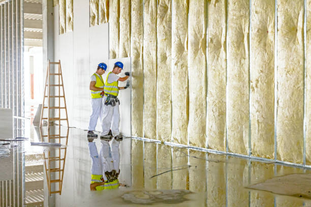 Best Insulation for Specific Applications in Vla Park, IL